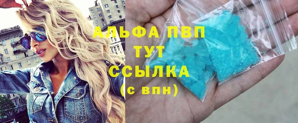 ГАЛЛЮЦИНОГЕННЫЕ ГРИБЫ Бородино